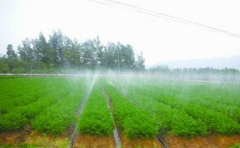 灌区微灌节水技术措施研究
