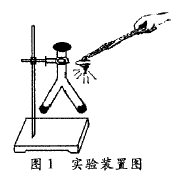 实验装置图