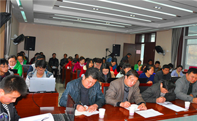 中国政策性银行支持三农问题研究
