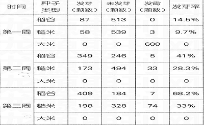 怎样撰写科技小论文