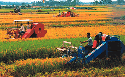 论中国农业经济组织变迁与农民增收