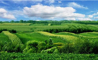 黑龙江省农业生态环境保护的路径研究